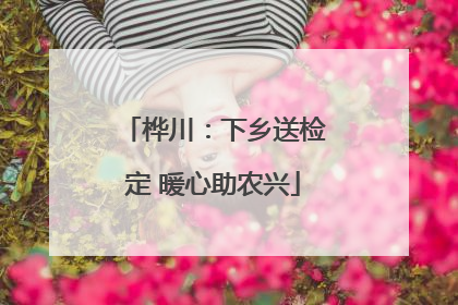 桦川：下乡送检定 暖心助农兴