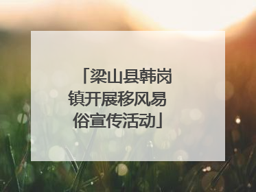 梁山县韩岗镇开展移风易俗宣传活动