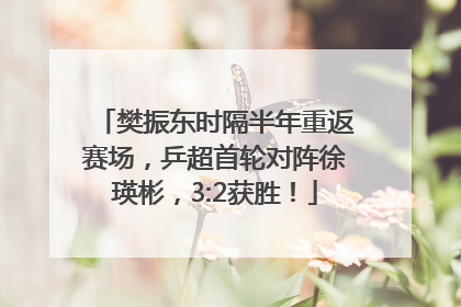 樊振东时隔半年重返赛场，乒超首轮对阵徐瑛彬，3:2获胜！
