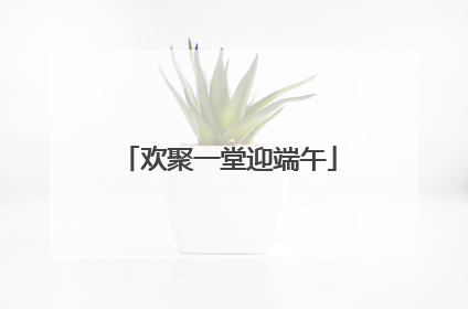 欢聚一堂迎端午