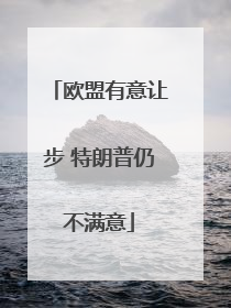 欧盟有意让步 特朗普仍不满意