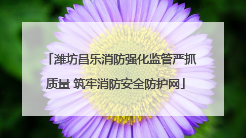 潍坊昌乐消防强化监管严抓质量 筑牢消防安全防护网