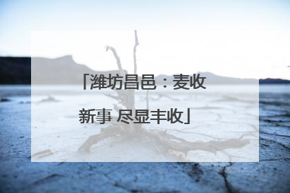 潍坊昌邑：麦收新事 尽显丰收