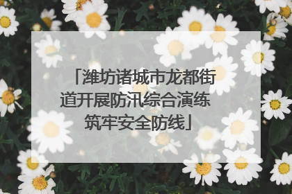 潍坊诸城市龙都街道开展防汛综合演练 筑牢安全防线