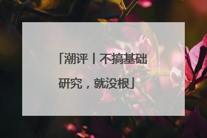 潮评丨不搞基础研究，就没根
