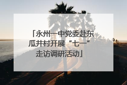 永州一中党委赴东瓜井村开展“七一”走访调研活动