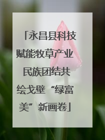 永昌县科技赋能牧草产业 民族团结共绘戈壁“绿富美”新画卷