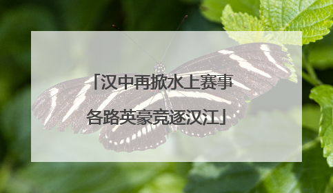汉中再掀水上赛事 各路英豪竞逐汉江