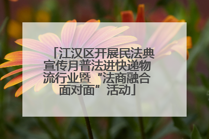 江汉区开展民法典宣传月普法进快递物流行业暨“法商融合面对面”活动