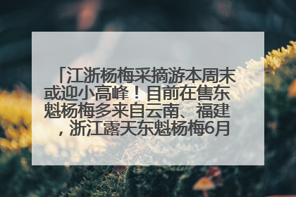 江浙杨梅采摘游本周末或迎小高峰！目前在售东魁杨梅多来自云南、福建，浙江露天东魁杨梅6月中旬大量上市