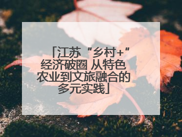 江苏“乡村+”经济破圈 从特色农业到文旅融合的多元实践