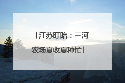 江苏盱眙：三河农场夏收夏种忙