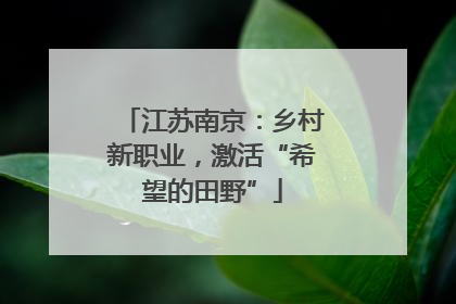 江苏南京：乡村新职业，激活“希望的田野”