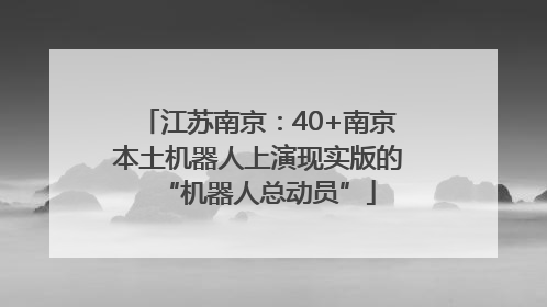 江苏南京：40+南京本土机器人上演现实版的“机器人总动员”