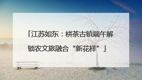 江苏如东：栟茶古镇端午解锁农文旅融合“新花样”