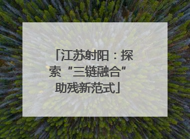 江苏射阳：探索“三链融合”助残新范式