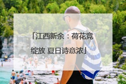 江西新余：荷花竞绽放 夏日诗意浓