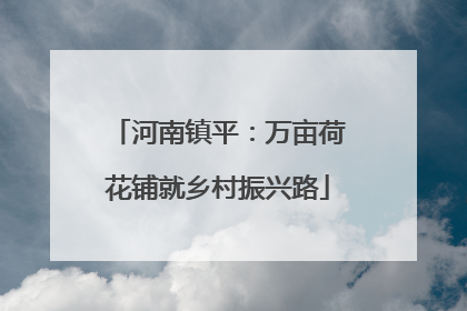河南镇平：万亩荷花铺就乡村振兴路