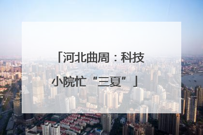河北曲周：科技小院忙“三夏”