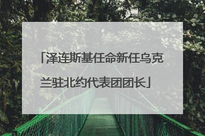 泽连斯基任命新任乌克兰驻北约代表团团长
