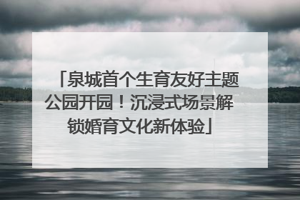 泉城首个生育友好主题公园开园！沉浸式场景解锁婚育文化新体验