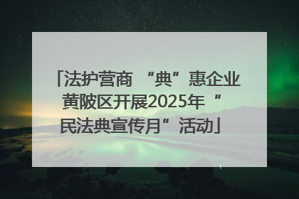 法护营商 “典”惠企业 黄陂区开展2025年“民法典宣传月”活动