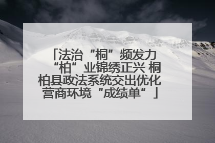 法治“桐”频发力 “柏”业锦绣正兴 桐柏县政法系统交出优化营商环境“成绩单”
