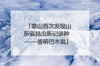 泰山首次发现山东省昆虫新记录种——香椿巴木虱