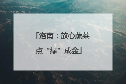 洛南：放心蔬菜点“绿”成金