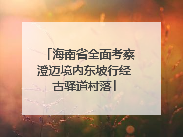 海南省全面考察澄迈境内东坡行经古驿道村落