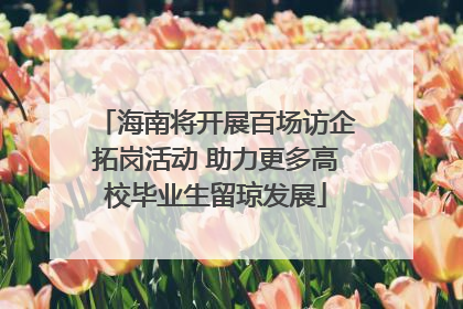 海南将开展百场访企拓岗活动 助力更多高校毕业生留琼发展