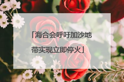 海合会呼吁加沙地带实现立即停火