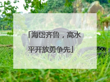 海岱齐鲁，高水平开放勇争先