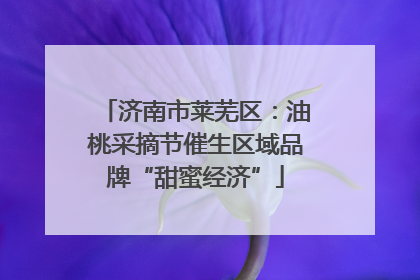 济南市莱芜区：油桃采摘节催生区域品牌“甜蜜经济”