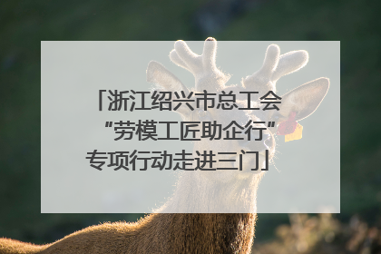 浙江绍兴市总工会“劳模工匠助企行”专项行动走进三门