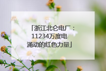 浙江北仑电厂：11234万度电涌动的红色力量