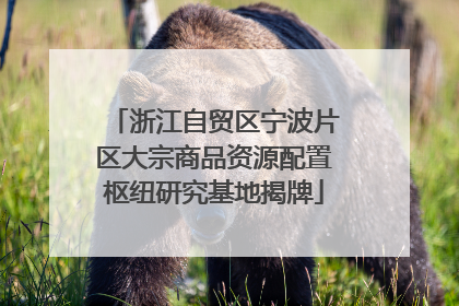 浙江自贸区宁波片区大宗商品资源配置枢纽研究基地揭牌