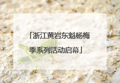 浙江黄岩东魁杨梅季系列活动启幕