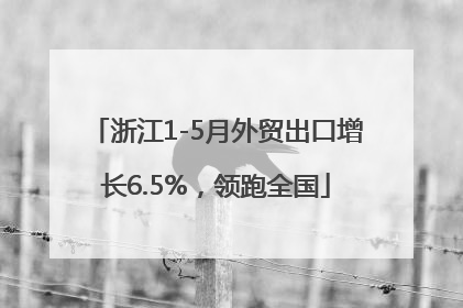 浙江1-5月外贸出口增长6.5%，领跑全国