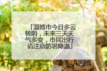 淄博市今日多云转阴，未来三天天气多变，市民出行请注意防暑降温