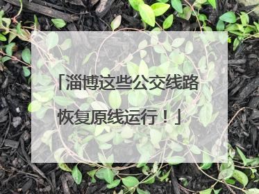 淄博这些公交线路恢复原线运行！
