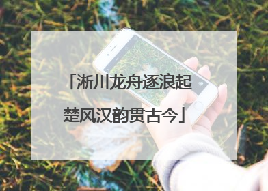 淅川龙舟逐浪起 楚风汉韵贯古今