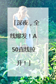 深夜，全线爆发！A50直线拉升！