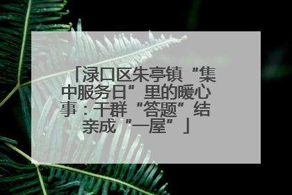 渌口区朱亭镇“集中服务日”里的暖心事：干群“答题”结亲成“一屋”