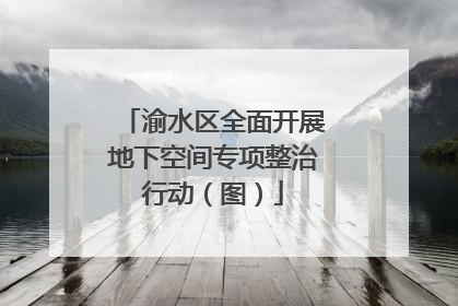 渝水区全面开展地下空间专项整治行动（图）