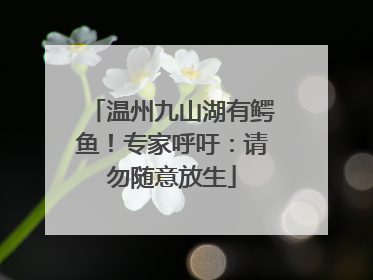 温州九山湖有鳄鱼！专家呼吁：请勿随意放生