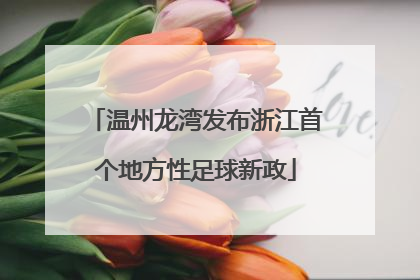 温州龙湾发布浙江首个地方性足球新政