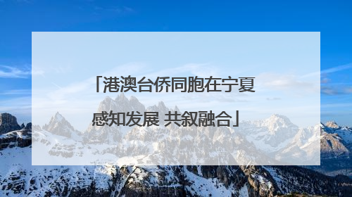 港澳台侨同胞在宁夏感知发展 共叙融合