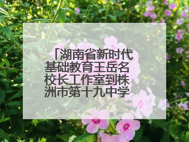 湖南省新时代基础教育王岳名校长工作室到株洲市第十九中学开展研修活动