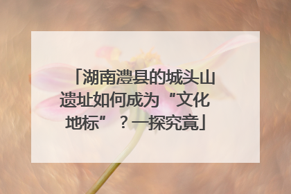 湖南澧县的城头山遗址如何成为“文化地标”？一探究竟